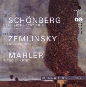 Cover for Zemlinsky / Mahler / Schoenberg · Vienna Piano Trio (CD) (2006)