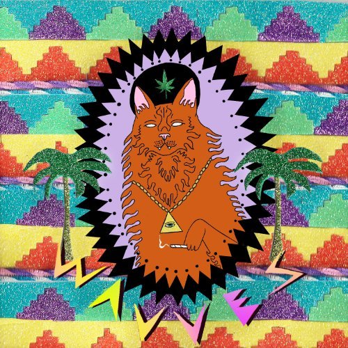 Cover for Wavves · King of the Beach (CD) (2010)