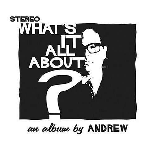 Whats It All About - Andrew - Musik - Avebury Records - 0825346474427 - 12. oktober 2004