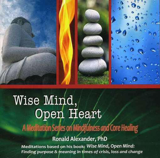 Cover for Ronald Alexander · Wise Mind Open Heart (CD) [Digipack] (2010)