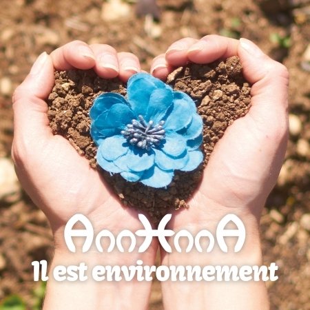 Cover for Annhnna · Il Est Environnement (CD) (2021)