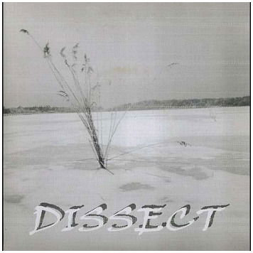 Split - Dissect / Los Rezios - Musik - CARGO DUITSLAND - 4024572364427 - 23. januar 2009