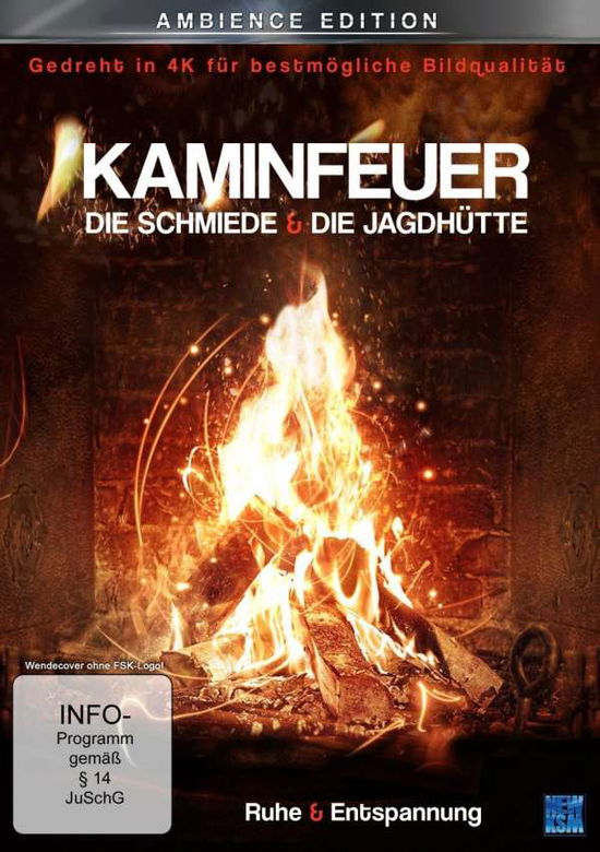 Cover for N/a · Kaminfeuer,DVD (Book) (2016)