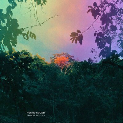 Kosmo Sound · Fruit Of The Void (LP) (2022)