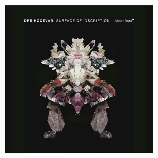 Cover for Dre Hocevar · Surface Of Inscription (CD) (2017)