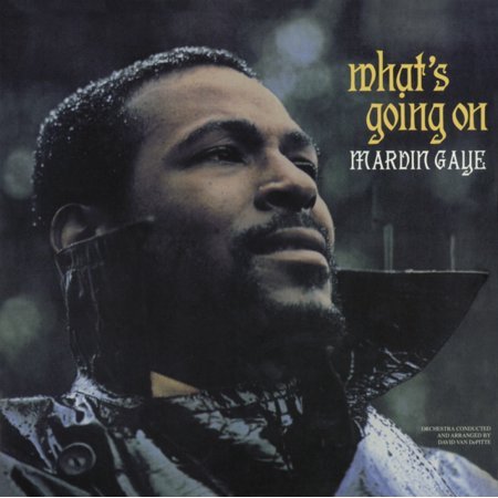 Cover for Marvin Gaye · What's Going On (VINYL) (2013)