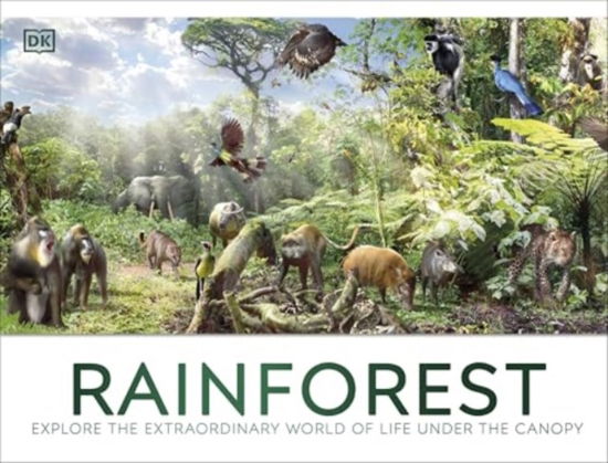 Cover for Dk · Rainforest (Inbunden Bok) (2025)