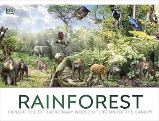 Rainforest - Dk - Książki - Dorling Kindersley Ltd - 9780241716427 - 24 kwietnia 2025