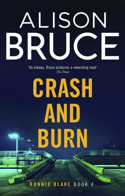 Crash and Burn - Alison Bruce - Books - Little, Brown Book Group - 9780349135427 - October 3, 2024