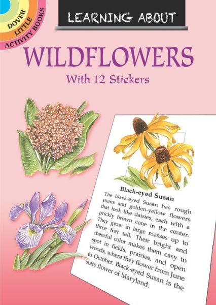 Cover for Dot Barlowe · Learning About Wildflowers - Little Activity Books (Paperback Book) (2020)