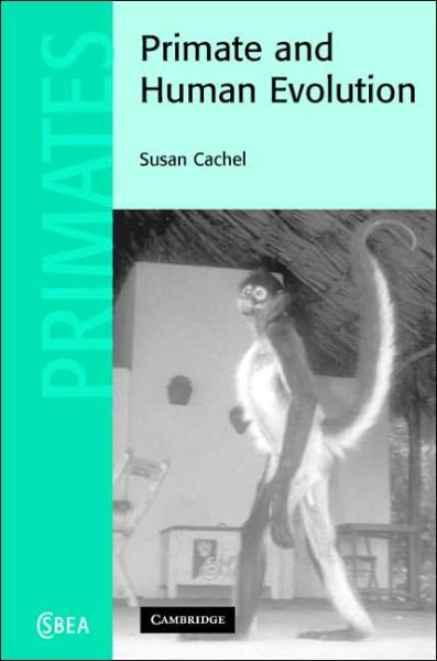 Cover for Cachel, Susan (Rutgers University, New Jersey) · Primate and Human Evolution - Cambridge Studies in Biological and Evolutionary Anthropology (Hardcover Book) (2006)