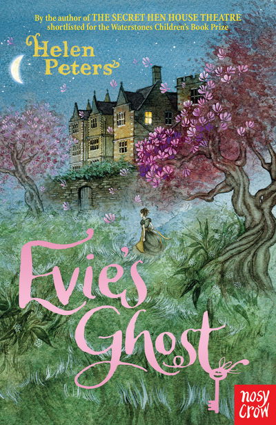 Cover for Helen Peters · Evie's Ghost (Paperback Book) (2017)