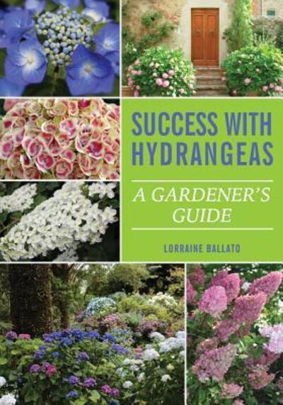 Cover for Lorraine Ballato · Success With Hydrangeas: A Gardener's Guide (Paperback Book) (2017)