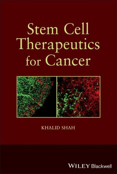 Cover for K Shah · Stem Cell Therapeutics for Cancer (Hardcover Book) (2013)