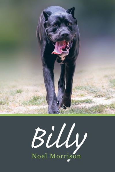 Cover for Noel Morrison · Billy (Paperback Book) (2015)