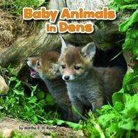 Cover for Martha E. H. Rustad · Baby Animals and Their Homes Pack A of 4 - Baby Animals and Their Homes (Book) (2018)