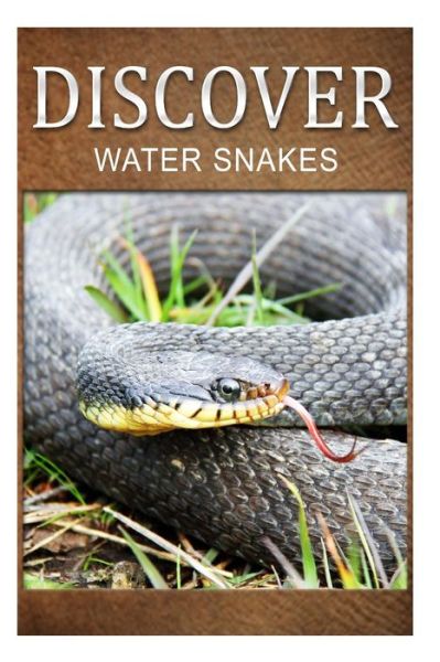 Cover for Discover Press · Water Snake - Discover: Early Reader's Wildlife Photography Book (Pocketbok) (2014)