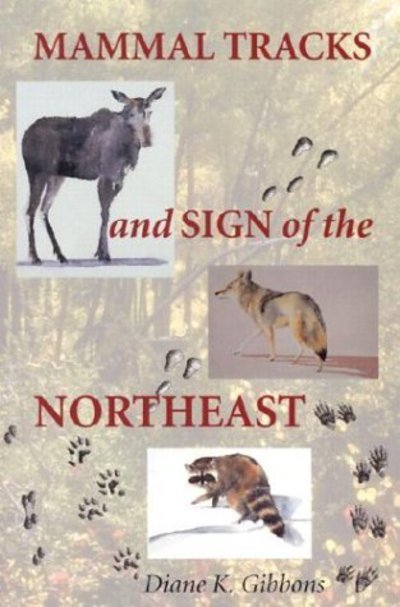 Mammal Tracks and Sign of the Northeast - Diane K. Gibbons - Książki - University Press of New England - 9781584652427 - 1 maja 2003