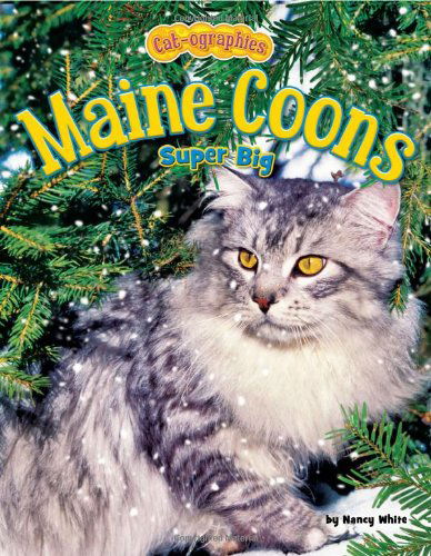 Maine Coons: Super Big (Cat-ographies) - Nancy White - Books - Bearport Publishing - 9781617721427 - 2011