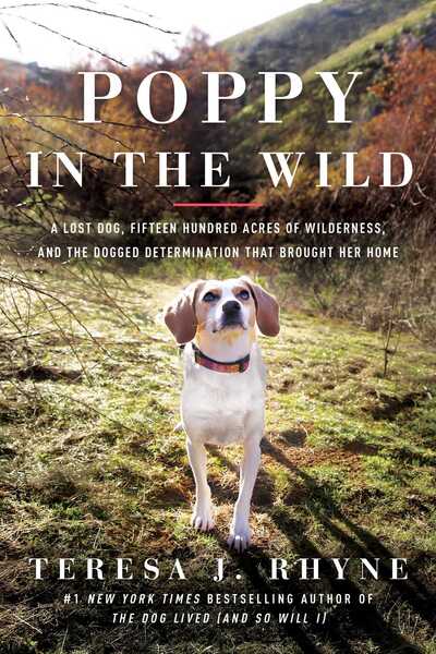 Cover for Teresa J. Rhyne · Poppy in the Wild: A Lost Dog, Fifteen Hundred Acres of Wilderness, and the Dogged Determination that Brought Her Home (Hardcover Book) (2020)