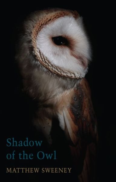 Cover for Matthew Sweeney · Shadow of the Owl (Pocketbok) (2020)