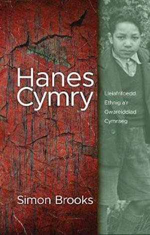 Cover for Simon Brooks · Hanes Cymry: Lleiafrifoedd Ethnig a'r Gwareiddiad Cymraeg (Paperback Book) (2021)