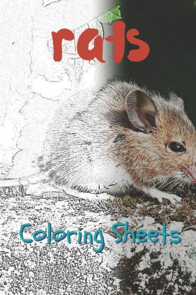 Rat Coloring Sheets : 30 rat drawings,coloring sheets adults relaxation, coloring book for kids, for girls, volume 11 - Julian Smith - Livros - Independently published - 9781797739427 - 21 de fevereiro de 2019