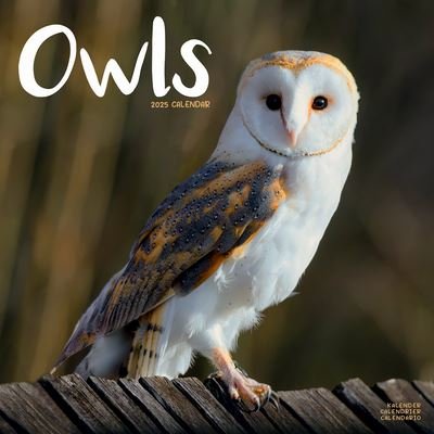 Cover for Owls Calendar 2025 Square Birds Wall Calendar - 16 Month (Kalender) (2024)