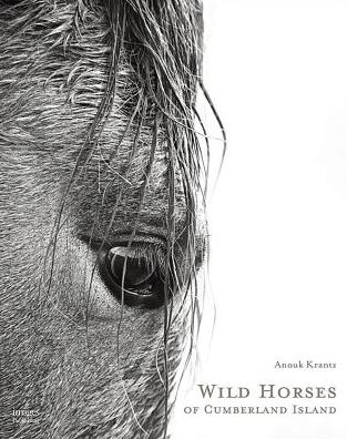 Cover for Anouk Masson Krantz · Wild Horses of Cumberland Island (Hardcover Book) (2017)