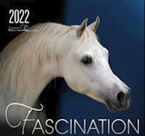 Cover for Gabriele Boiselle · Fascination 2022 (Calendar) (2022)