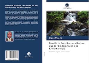 Cover for Mwatete · Bewährte Praktiken und Lehren a (Buch)
