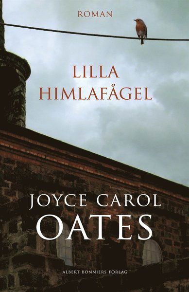 Lilla himlafågel - Joyce Carol Oates - Livros - Albert Bonniers Förlag - 9789143512427 - 14 de outubro de 2020