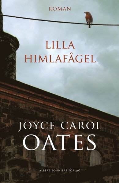 Cover for Joyce Carol Oates · Lilla himlafågel (ePUB) (2020)