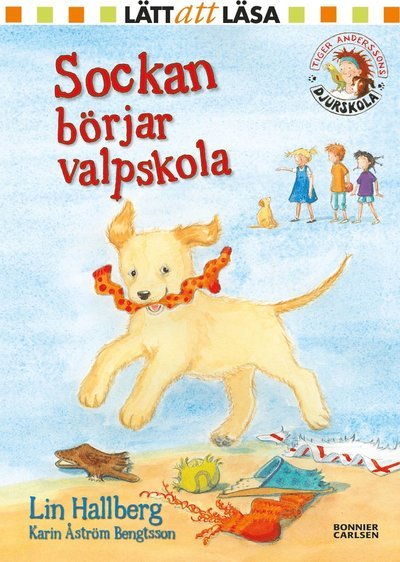 Cover for Lin Hallberg · Tiger Anderssons Djurskola: Sockan börjar valpskola (Gebundesens Buch) (2016)