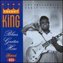 Cover for Freddy King · Blues Guitar Hero... (CD) (1993)