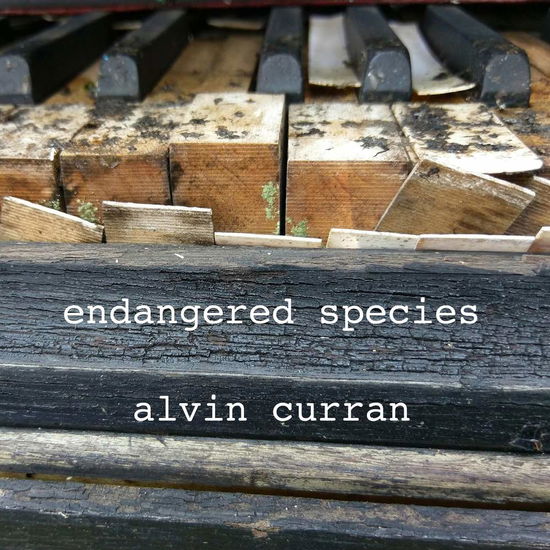 Cover for Alvin Curran · Endangered Species (CD) (2015)