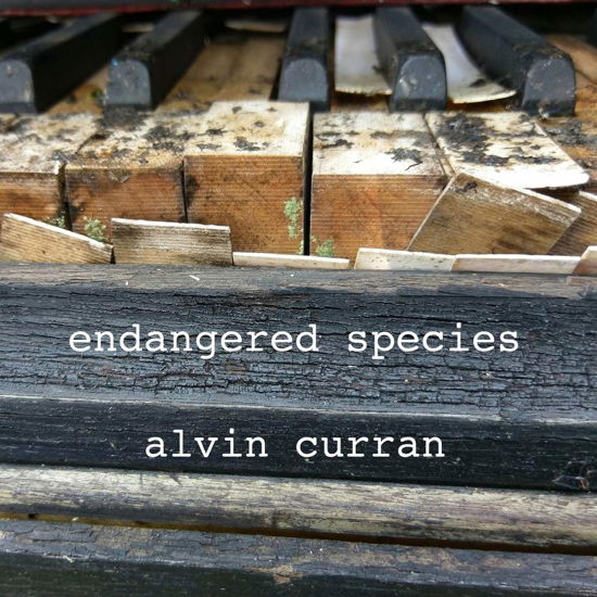 Alvin Curran: Endangered Species - Curran, Alvin & Yamaha Disklavier - Musik - NEW WORLD MUSIC - 0093228080428 - 30. juni 2015