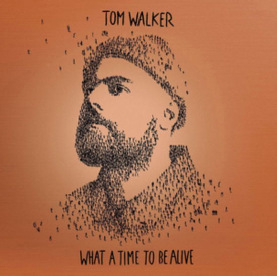 What A Time To Be Alive - Tom Walker - Musik - RELENTLESS - 0190759889428 - 8 november 2019