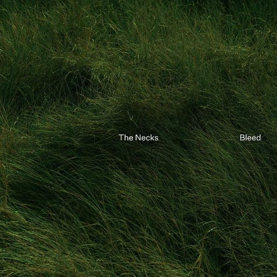 Cover for Necks · Bleed (CD) (2024)