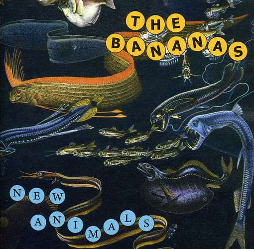 Cover for Bananas · New Animals (CD) (2008)