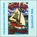 Cover for Banana Slug String Band · Slugs at Sea (CD) (2005)