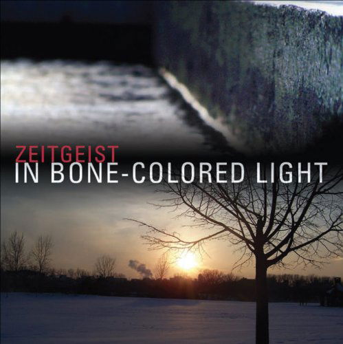 Cover for Zeitgeist / Gatto / Medek / Kitzke / Jackanich · In Bone-colored Light (CD) (2010)