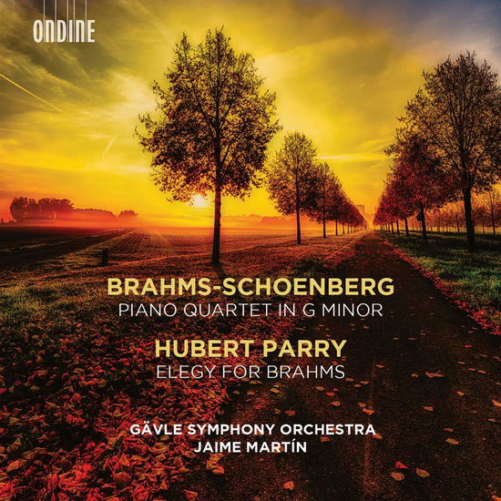 Cover for Gavle So / Martin · Johannes Brahms: Piano Quartet In G Minor (Orchestrated By Arnold Schoenberg) / Hubert Parry: Elegy For Brahms (CD) (2019)