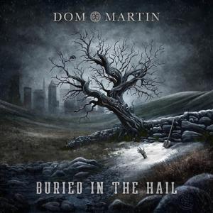 Cover for Don Martin · Buried In The Hail (CD) (2023)