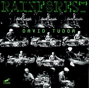 Rainforest Versions 1 & 4 - Tudor,david / Kosugi,takehisa - Musik - MRS4 - 0764593006428 - 19. maj 1998