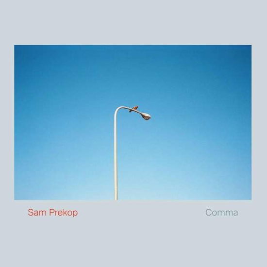 Cover for Sam Prekop · Comma (CD) (2020)
