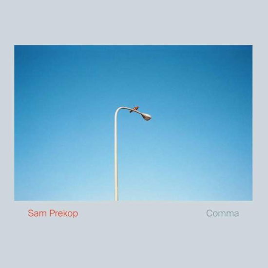 Comma - Sam Prekop - Music - THRILL JOCKEY - 0790377052428 - September 11, 2020