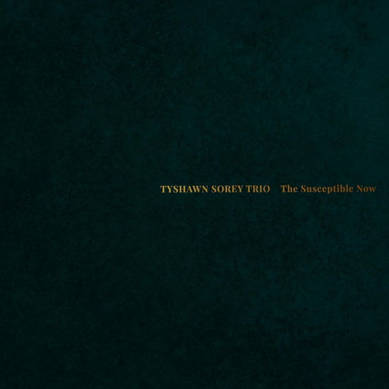 Tyshawn Sorey · The Susceptible Now (CD) (2024)