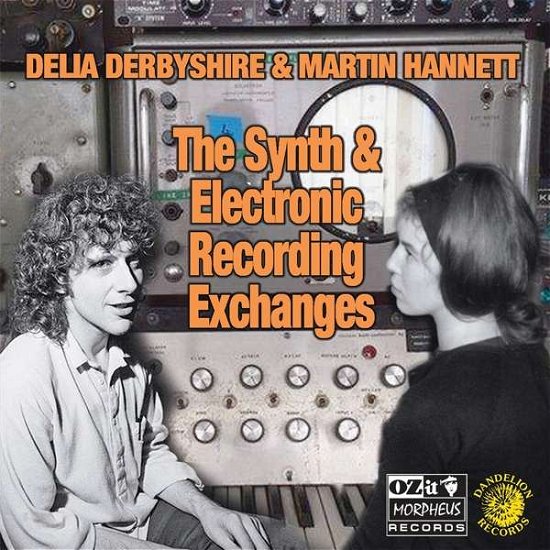 Cover for Derbyshire,delia / Hannett,martin · Synth and Electronic Recording Exchanges (LP) (2019)