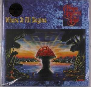 Cover for Allman Brothers · Where It All Begins (LP) (2019)